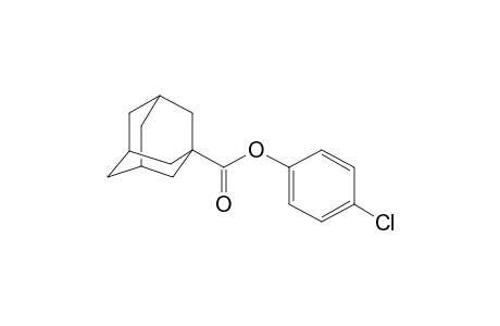 1-Adamantanecarboxylic acid, 4-chlorophenyl ester