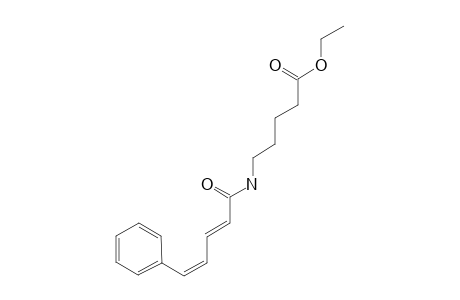 ETHYL-5-[[(2E,4Z)-5-PHENYL-PENTA-2,4-DIENOYL]-AMINO]-PENTANOATE