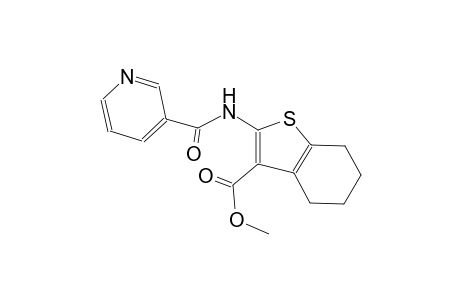 methyl 2-[(3-pyridinylcarbonyl)amino]-4,5,6,7-tetrahydro-1-benzothiophene-3-carboxylate