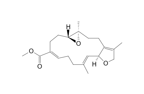 Lobophynin C