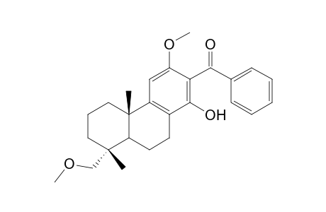 13-benzoyl-12,19-dimethoxypodocarpa-8,11,13-trien-14-ol
