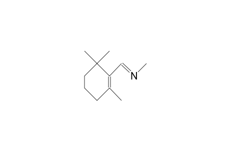 2,6,6-Trimethyl-1-methyliminomethyl-1-cyclohexene