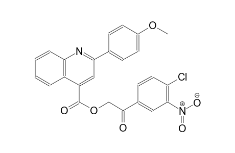 4-quinolinecarboxylic acid, 2-(4-methoxyphenyl)-, 2-(4-chloro-3-nitrophenyl)-2-oxoethyl ester