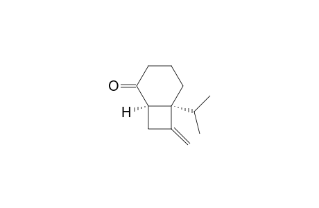 (1R,6S)-6-isopropyl-7-methylene-bicyclo[4.2.0]octan-2-one