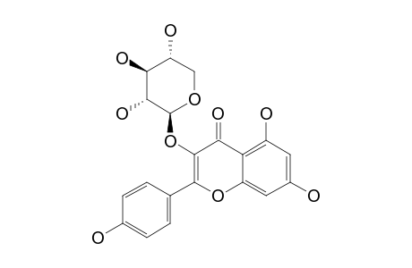 KAEMPFEROL-3-ARABINOPYRANOSIDE