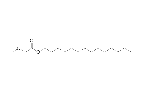 Methoxyacetic acid, tetradecyl ester