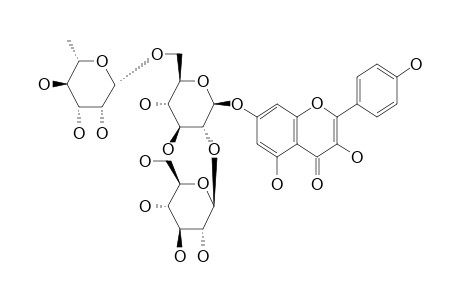 KAEMPFEROL_7-O-[A-L-RHAMNOSIDE-(1->6)]-[B-D-GLUCOSIDE-(1->2)]-B-D-GLUCOSIDE;MORINDAOSIDE
