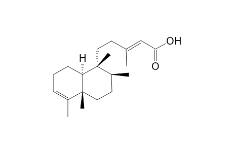 (+)-Kolavenic acid