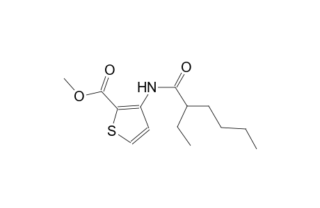 methyl 3-[(2-ethylhexanoyl)amino]-2-thiophenecarboxylate