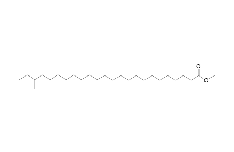 Methyl 22-methyl-tetracosanoate