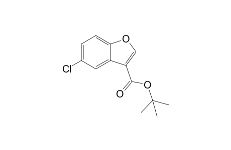 tert-Butyl 5-chlorobenzofuran-3-carboxylate