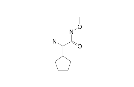 2-AMINO-2-CYCLOPENTYL-N-METHOXYACETAMIDE