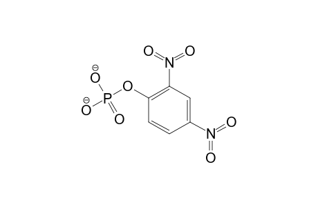(2,4-dinitrophenyl) phosphate