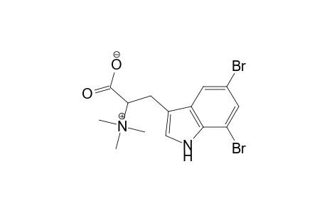 1H-Indole-3-ethanaminium, 5,7-dibromo-.alpha.-carboxy-N,N,N-trimethyl-, hydroxide, inner salt, (.+-.)-