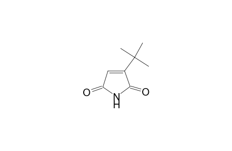 3-tert-Butyl-3-pyrroline-2,5-quinone