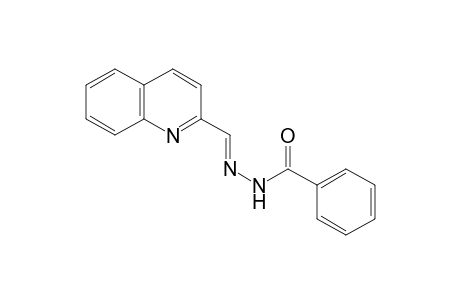 Benzoic acid, (2-quinolinylmethylene)hydrazide