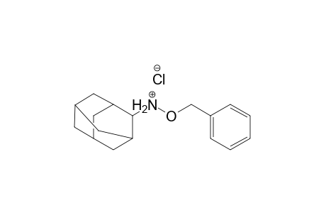 O-Benzyl-N-(2-adamantyl)hydroxyammonium chloride