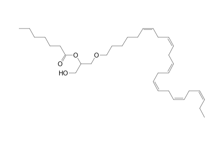 DG O-24:6_7:0