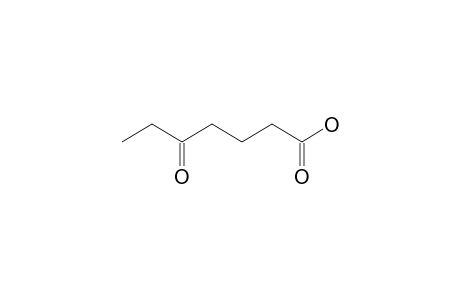 5-Oxoheptanoic acid