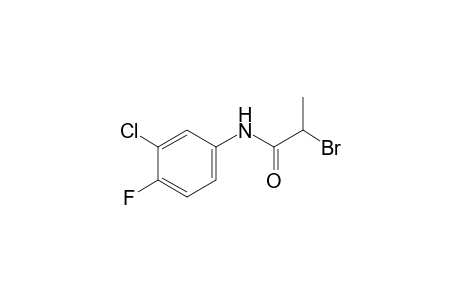 2-bromo-3'-chloro-4'-fluoropropionanilide