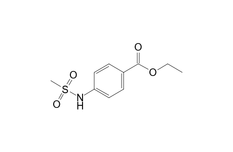 p-(methylsulfonamido)benzoic acid, ethyl ester