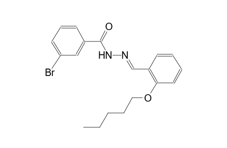 3-bromo-N'-{(E)-[2-(pentyloxy)phenyl]methylidene}benzohydrazide