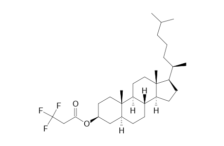 Cholestan-3-ol, 3,3,3-trifluoropropanoate, (3.beta.,5.alpha.)-