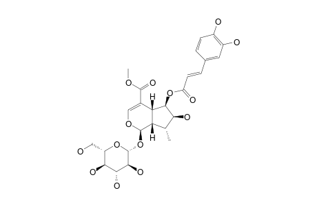 CAUDATOSIDE-E;6-CAFFEOYL-5-DEOXYPULCHELLOSIDE-I