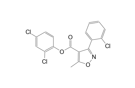 4-isoxazolecarboxylic acid, 3-(2-chlorophenyl)-5-methyl-, 2,4-dichlorophenyl ester