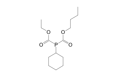 BUTYLOXYCARBONYL,ETHYLOXYCARBONYL-CYCLOHEXYLPHOSPHANE