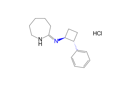 hexahydro-2-[(trans-2-phenylcyclobutyl)imino]-1H-azepine, monohydrochloride