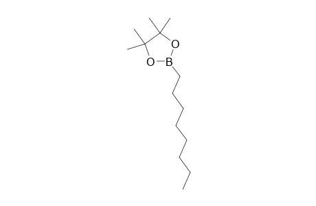 4,4,5,5-Tetramethyl-2-octyl-1,3,2-dioxaborolane