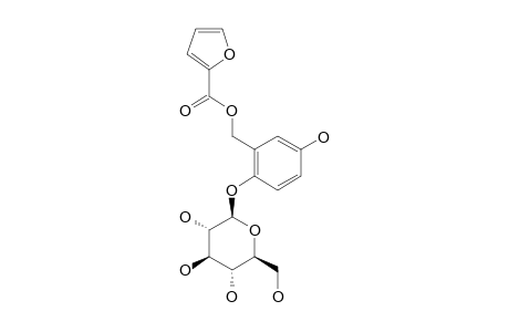 HOMALOSIDE-C;1-FUROYLOXYMETHYL-5-HYDROXYPHENYL-BETA-D-GLUCOPYRANOSIDE
