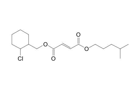 Fumaric acid, (2-chlorocyclohexyl)methyl isohexyl ester