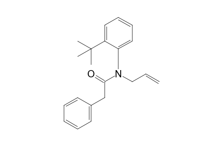 N-Allyl-N-(2-tert-butylphenyl)phenylacetamide