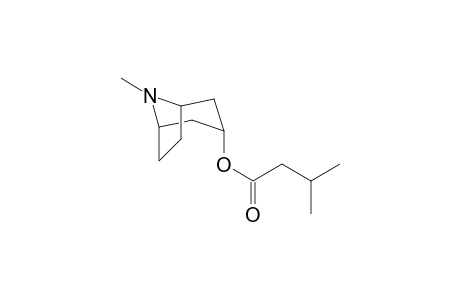 3-alpha-(Isovaleroyloxy)tropane
