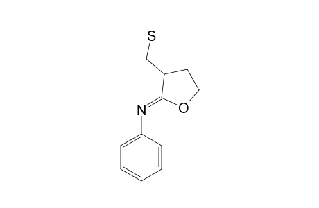 2-PHENYLIMINO-3-SULFANYL-METHYL-OXOLANE