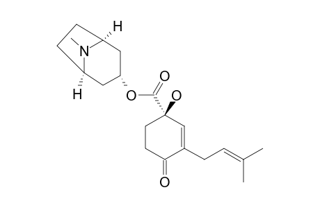 CONSABATINE