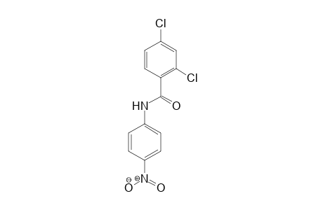 Benzamide, 2,4-dichloro-N-(4-nitrophenyl)-