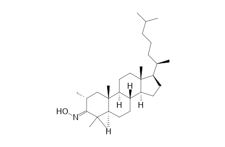 Cholestan-3-one, 2,4,4-trimethyl-, oxime, (2.alpha.,5.alpha.)-