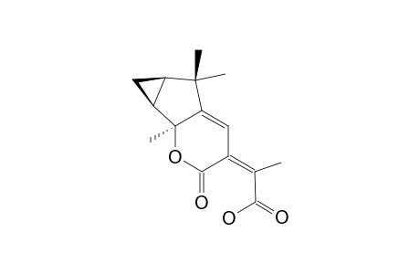 LINDERAGALACTONE_C