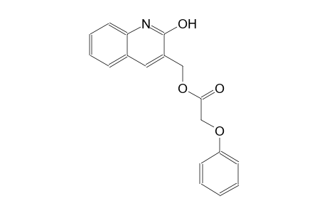 (2-hydroxy-3-quinolinyl)methyl phenoxyacetate