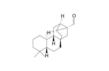 ent-Trachyloban-17-al