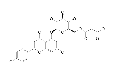 APIGENIN_5-O-(6''-MALONYL-BETA-D-GLUCOPYRANOSIDE)