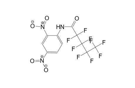 N-(2,4-dinitrophenyl)-2,2,3,3,4,4,5,5,5-nonafluoropentanamide