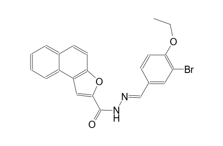 N'-[(E)-(3-bromo-4-ethoxyphenyl)methylidene]naphtho[2,1-b]furan-2-carbohydrazide
