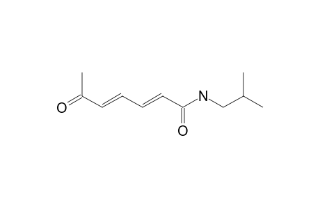 (2-E,4-E)-N-ISOBUTYL-6-OXOHEPTA-2,4-DIENAMIDE