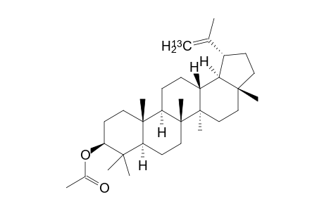 (1R,3aR,5aR,5bR,7aR,9S,11aR,11bR,13aR,13bR)-3a,5a,5b,8,8,11a-hexamethyl-1-(prop-1-en-2-yl-1-13C)icosahydro-1H-cyclopenta[a]chrysen-9-yl acetate