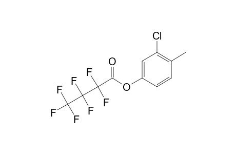 3-Chloro-4-methylphenol, o-heptafluorobutyryl-