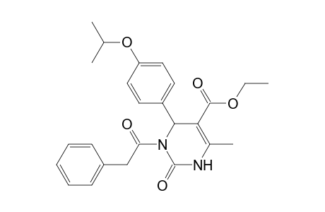 5-Pyrimidinecarboxylic acid, 1,2,3,6-tetrahydro-4-methyl-6-[4-(1-methylethoxy)phenyl]-2-oxo-1-(2-phenylacetyl)-, ethyl ester